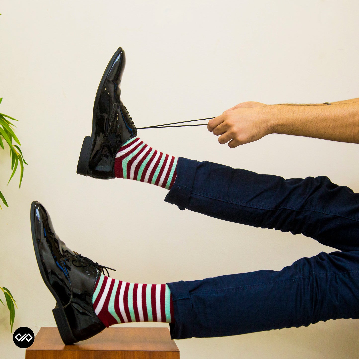 Cotton Crew Socks Combo: Men & Women Striped Socks