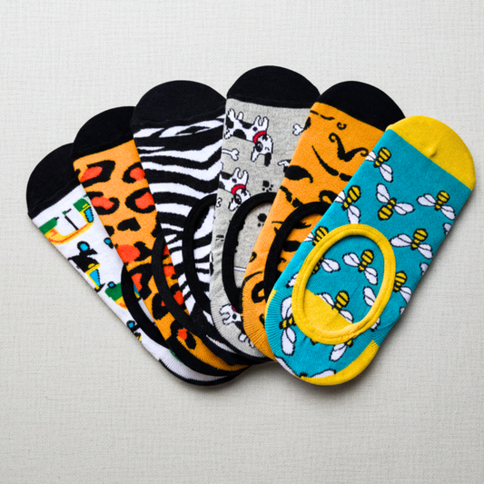 The Signature No-Show 6-Pack: The Explorer’s Cabinet