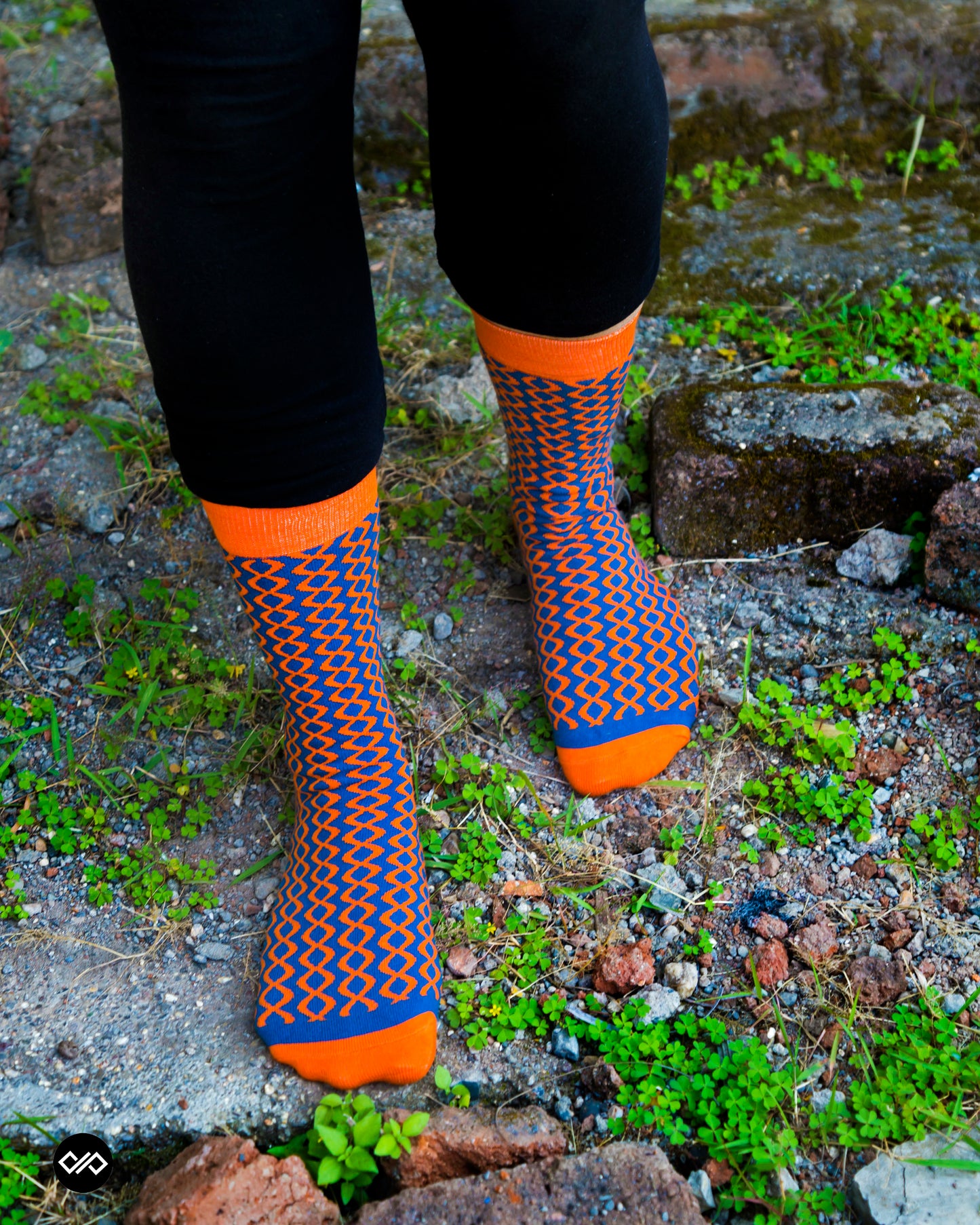 Crew Socks Gift Box Pack of 4