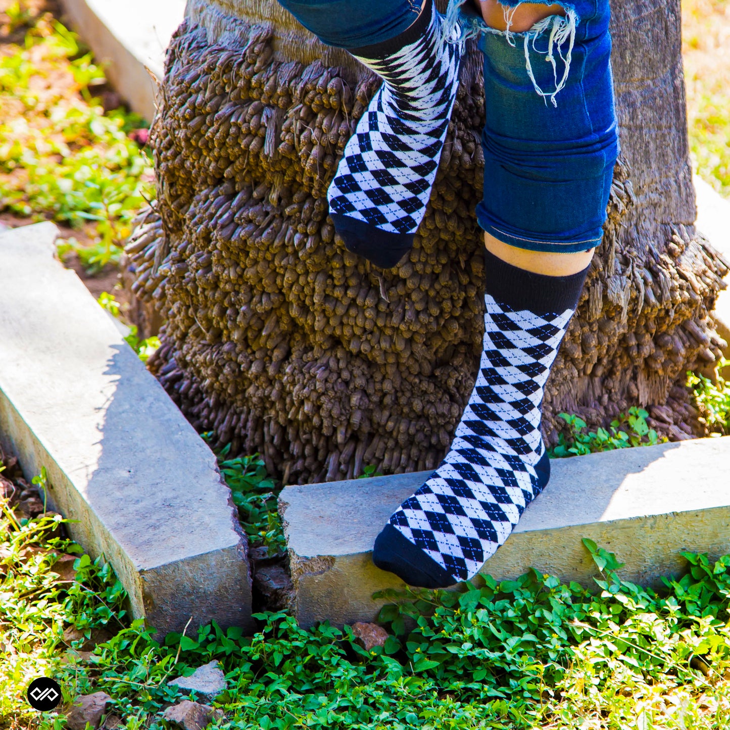 DANDY - BLACK & WHITE CREW LENGTH SOCKS - Cotton Crew Socks