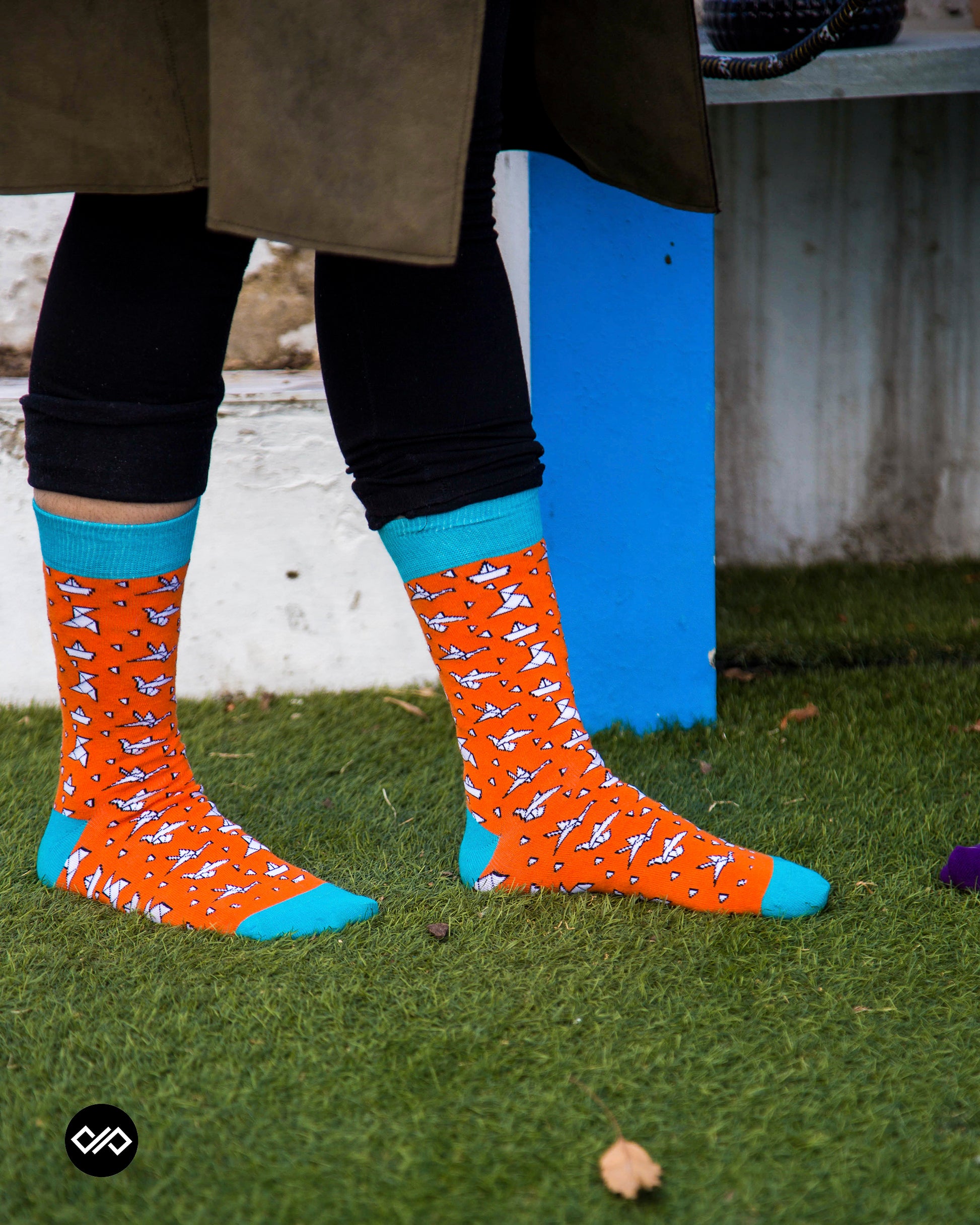 Cotton Crew Socks Combo: Fizzy Yellow, Maroon, Aqua