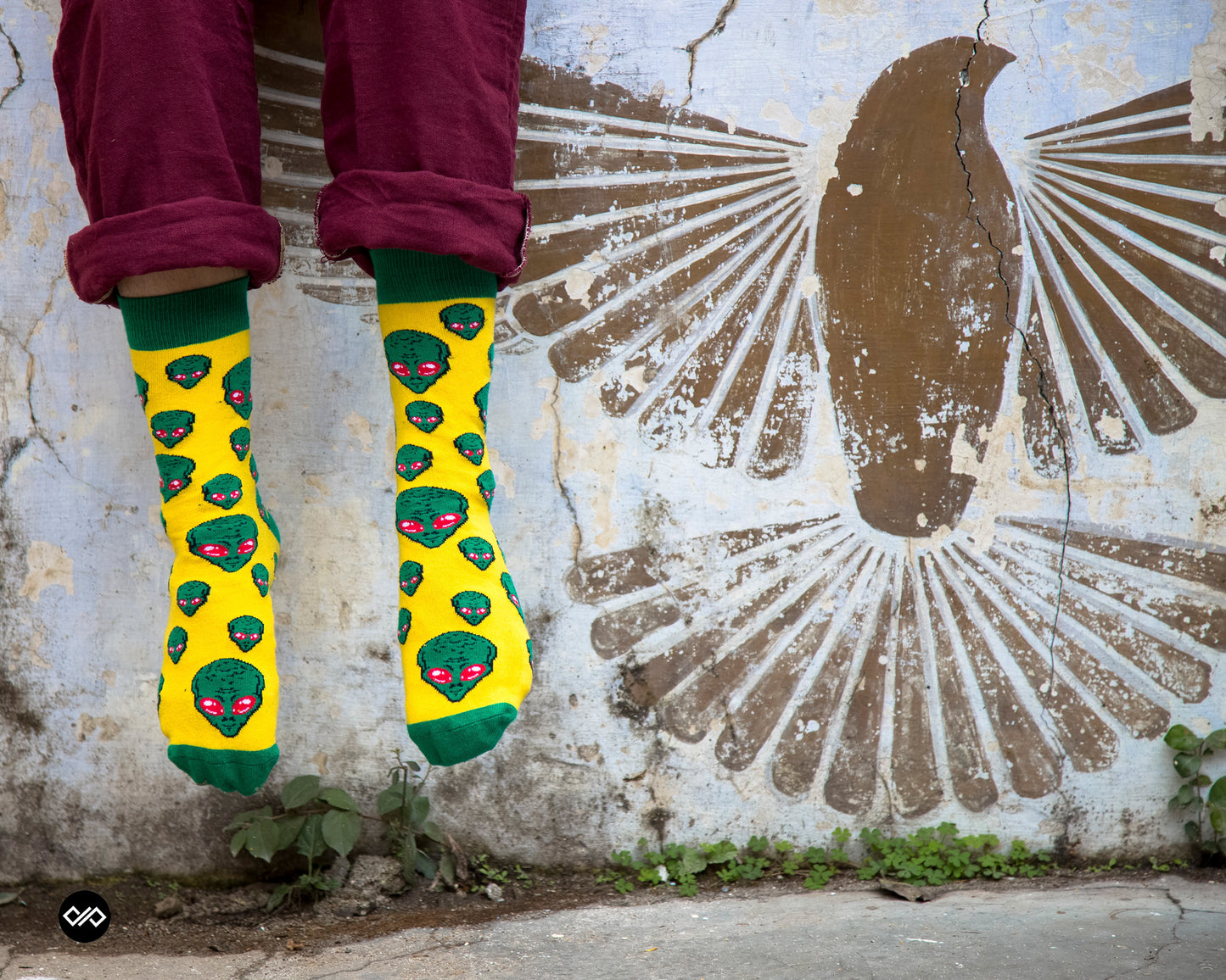 Cotton Crew Socks Combo: Leopard, Paws & Bones, Zebra, Aliens