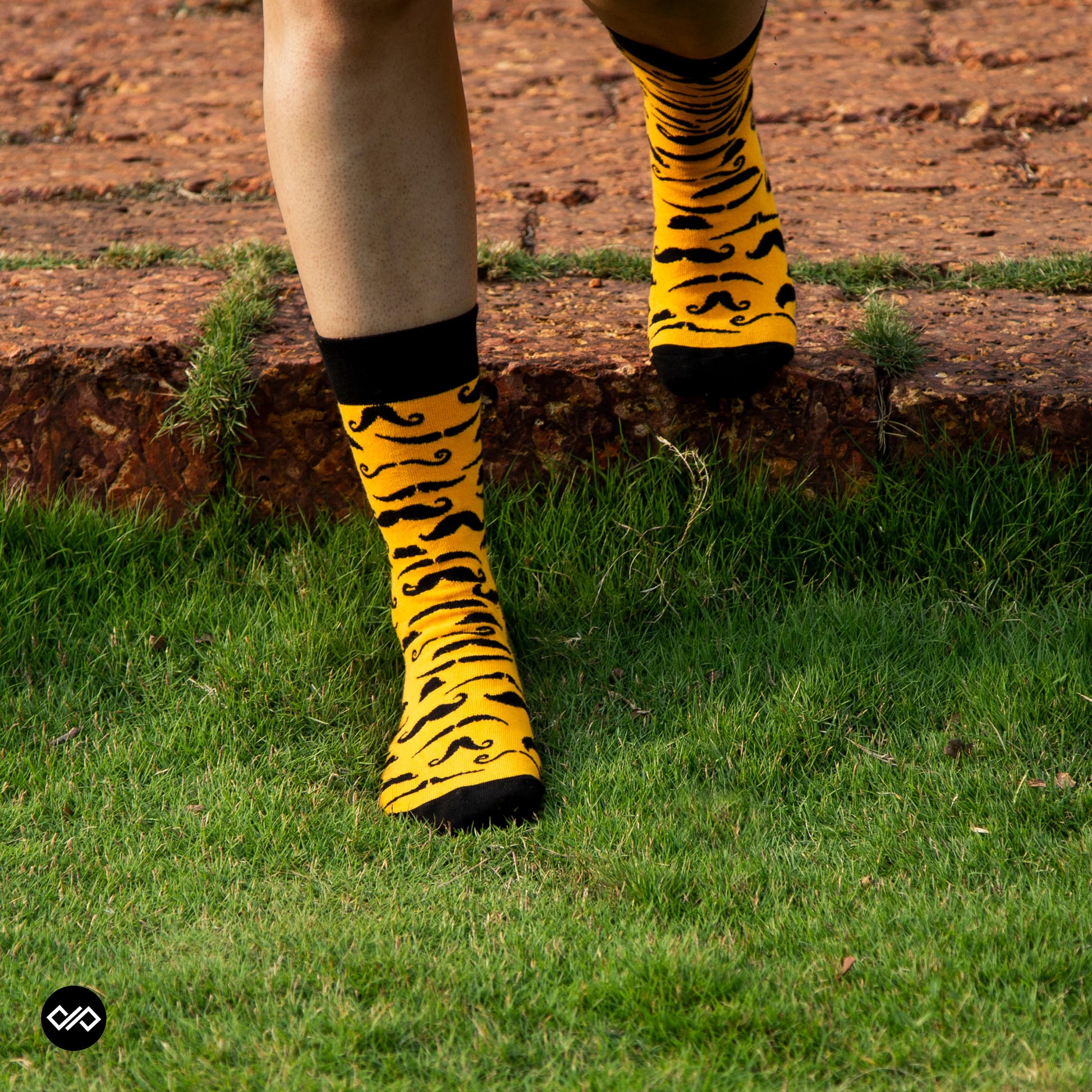 Cotton Crew Socks Combo: Happy Leaf, Polka, Lemon, Mooch