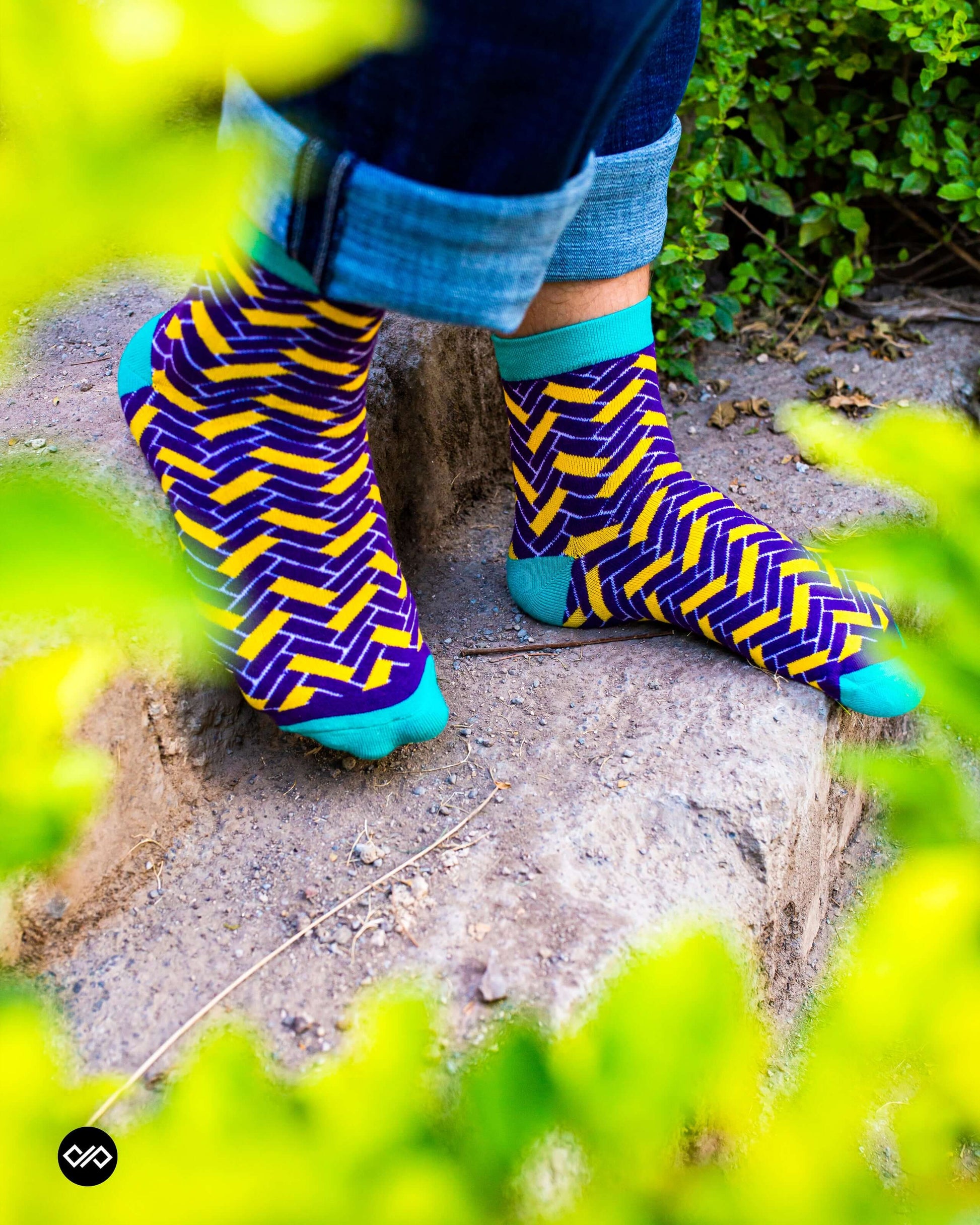 Cotton Ankle Socks Combo – Urbane, Tangy & Grill Styles